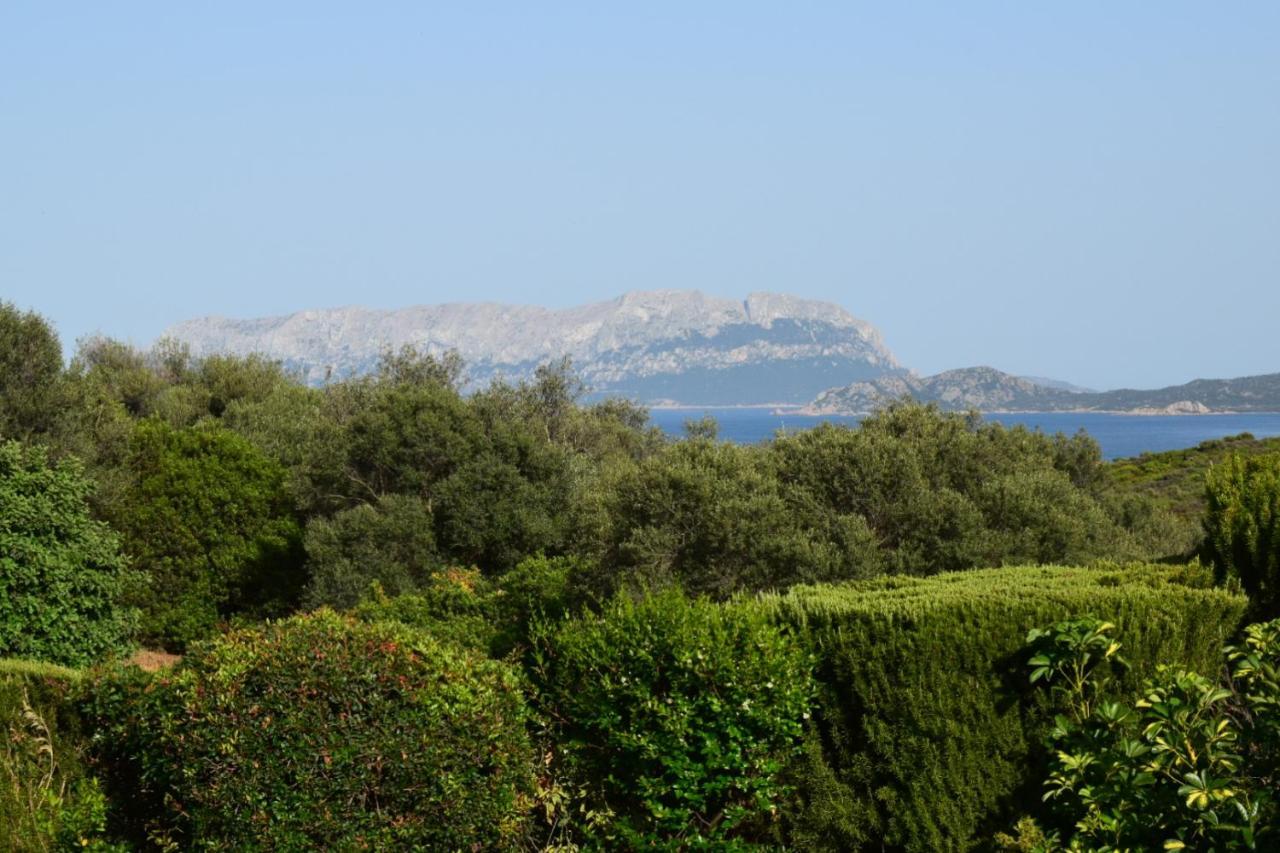 Apartmán Sa Domitta Di Suiles Olbia Exteriér fotografie