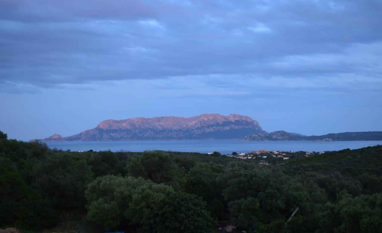 Apartmán Sa Domitta Di Suiles Olbia Exteriér fotografie